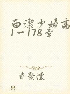 白洁少妇高义第1一178章