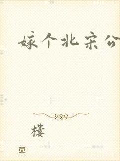 嫁个北宋公务员