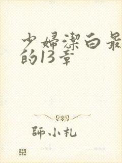 少妇洁白最刺激的13章