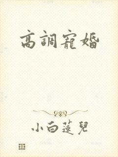 高调宠婚