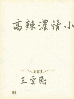 高辣浓情小说