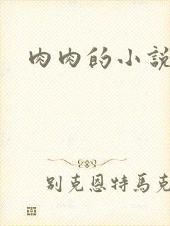 肉肉的小说
