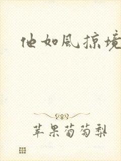 他如风掠境