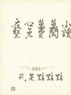 夜心万万小说完整免费阅读全文