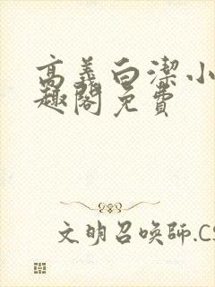 高义白洁小说笔趣阁免费