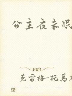 公主夜未眠