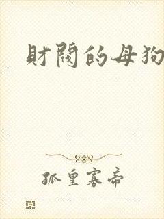 财阀的母狗们
