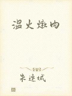 温火炖肉