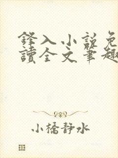 锋入小说免费阅读全文笔趣阁