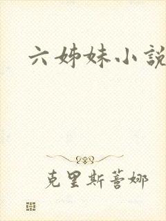 六姊妹小说