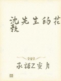 沈先生的花式调教