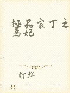 极品家丁之册母为妃封面