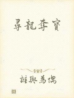 寻龙夺宝