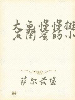 大龟慢慢挺进女友闺蜜的小说