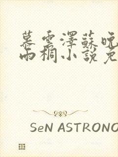 慕云泽苏晚晴夏雨桐小说免费阅读