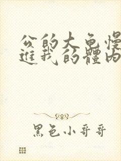 公的大龟慢慢挺进我的体内