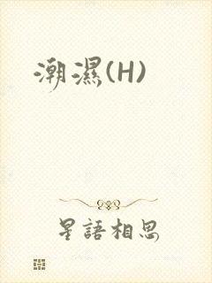 潮湿(H)