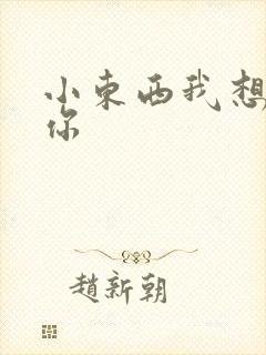 小东西我想弄坏你