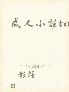 成人小说txt