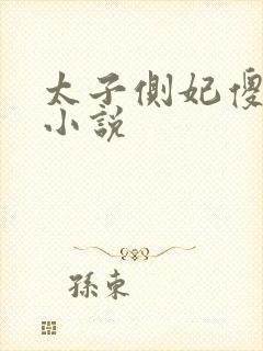 太子侧妃傻乎乎小说