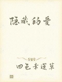 隐藏的爱