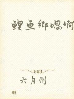 鲤鱼乡嗯啊
