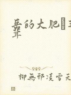 岳的大肥坹毛茸茸