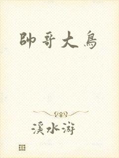 帅哥大鸟