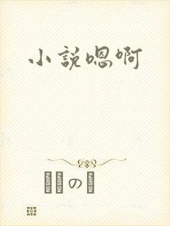 小说嗯啊