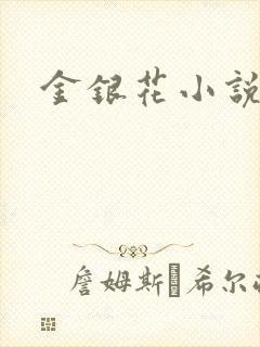 金银花小说乐可