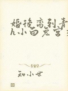 婚后脔到青梅哭h小白兔宫交h