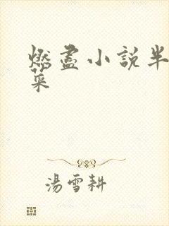 燃尽小说半截白菜