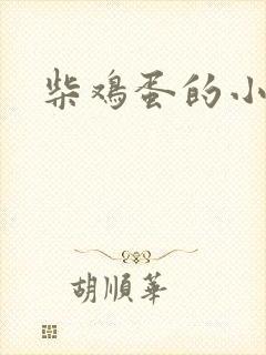 柴鸡蛋的小说
