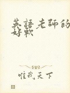 英语老师的兔子好软