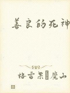 善良的死神小说