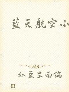 蓝天航空小说
