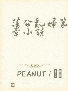 荡公乱妇第51章小说