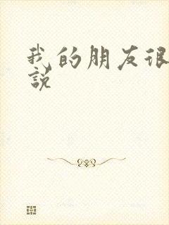 我的朋友很少小说