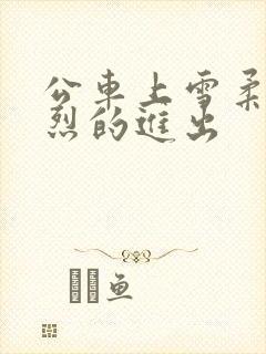 公车上雪柔被猛烈的进出