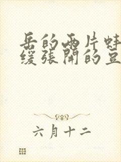 岳的两片蚌肉缓缓张开的豆瓣评分