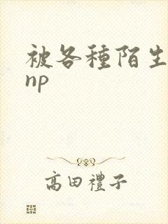 被各种陌生人 np