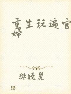 重生玩遍官场贵妇