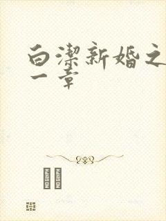 白洁新婚之夜第一章