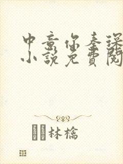 中意你秦琛苏沫小说免费阅读