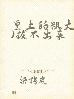 皇上的粗大(h)拔不出来