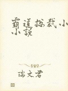 霸道总裁小娇妻小说