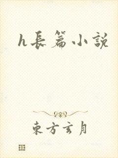 h长篇小说