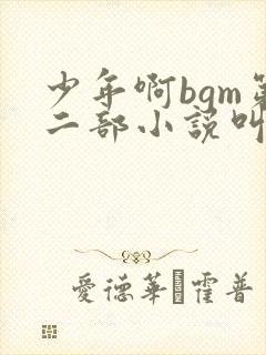 少年啊bgm第二部小说叫什么