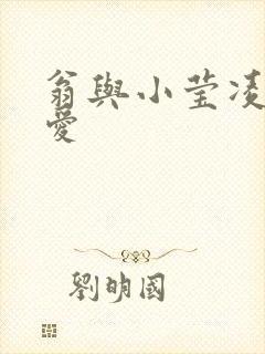 翁与小莹凌晨欢爱