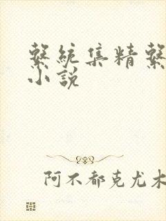 系统集精系统 小说